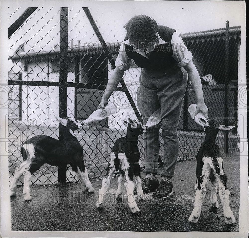1958 Press Photo Jean Aslett feeding goats at Childrens Zoo - nea86007-Historic Images