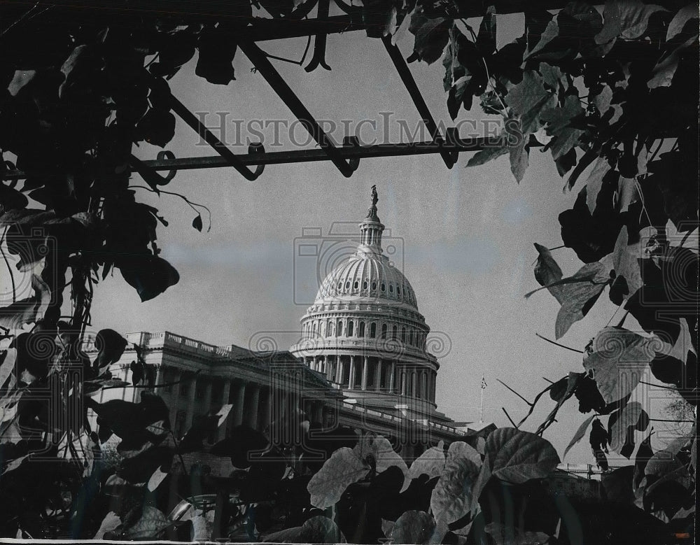 1965 Press Photo A floral border in the West Front of the US Capital Building.-Historic Images