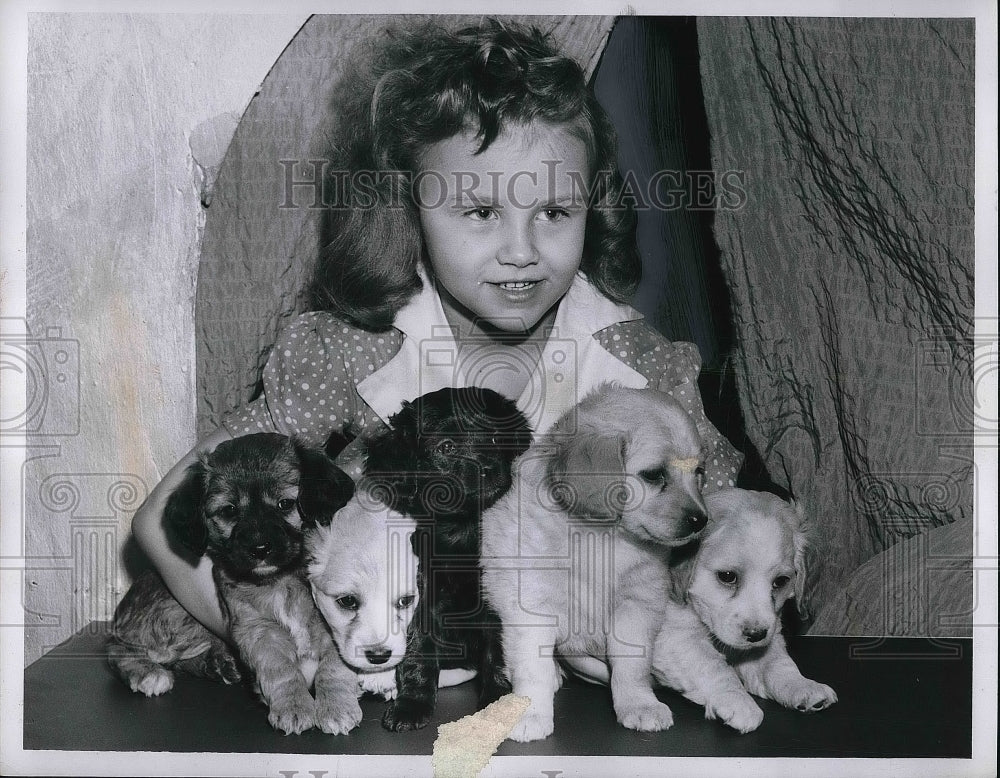 1956 Press Photo Debbie Harp with Cocker Spaniel puppies - nea86661-Historic Images
