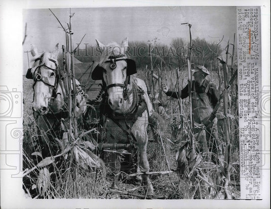 1965 Farmer J. F. Bollhoefer hand - Historic Images