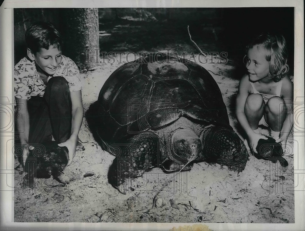 1947 Press Photo Gary Usina, Sandra harris Toirtoise-Turtle Race - nea86952-Historic Images