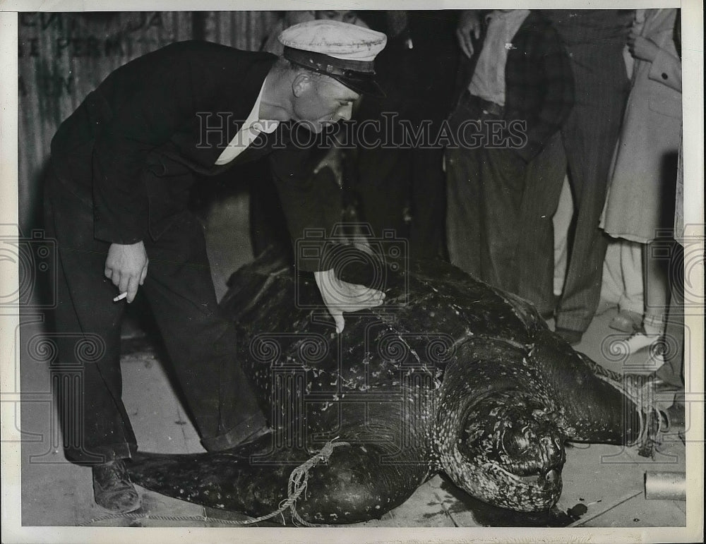 1938 Fritz Larrenz Owner Of Live Bait Boat &amp; The Huge Sea Turtle - Historic Images