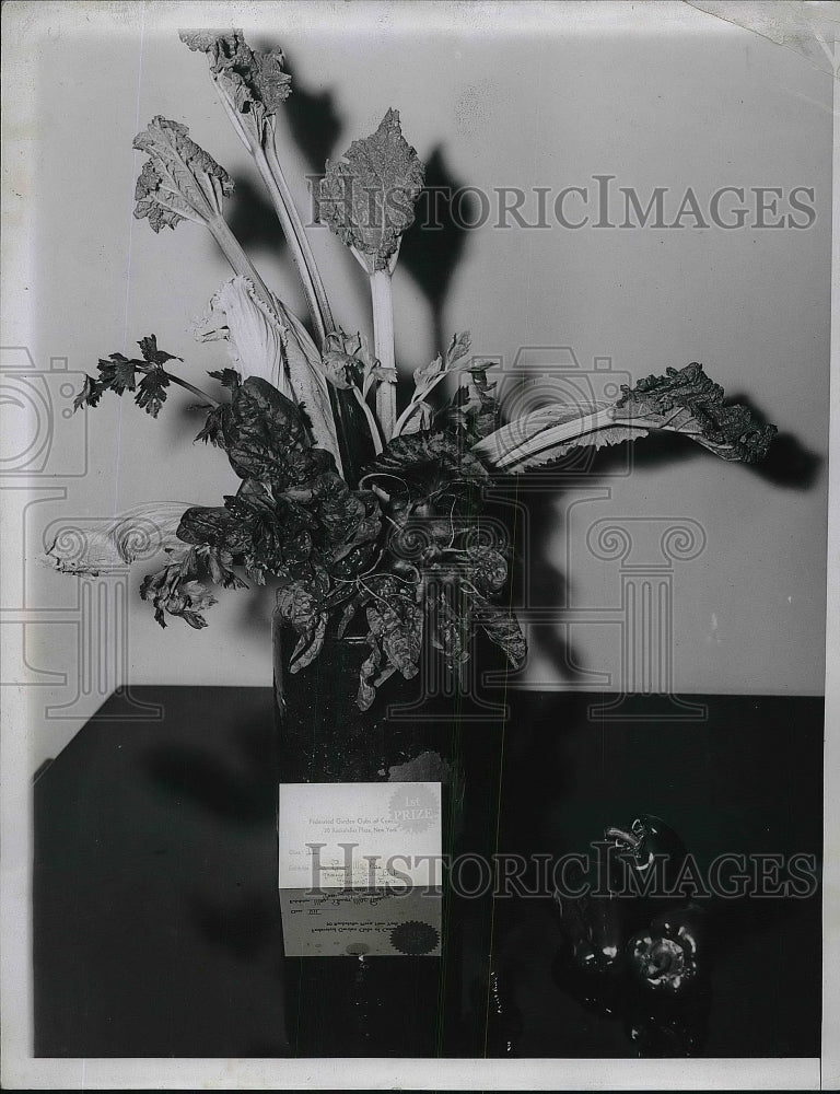 1935 The Prize Winning Arrangement Of Vegetables Entered  - Historic Images