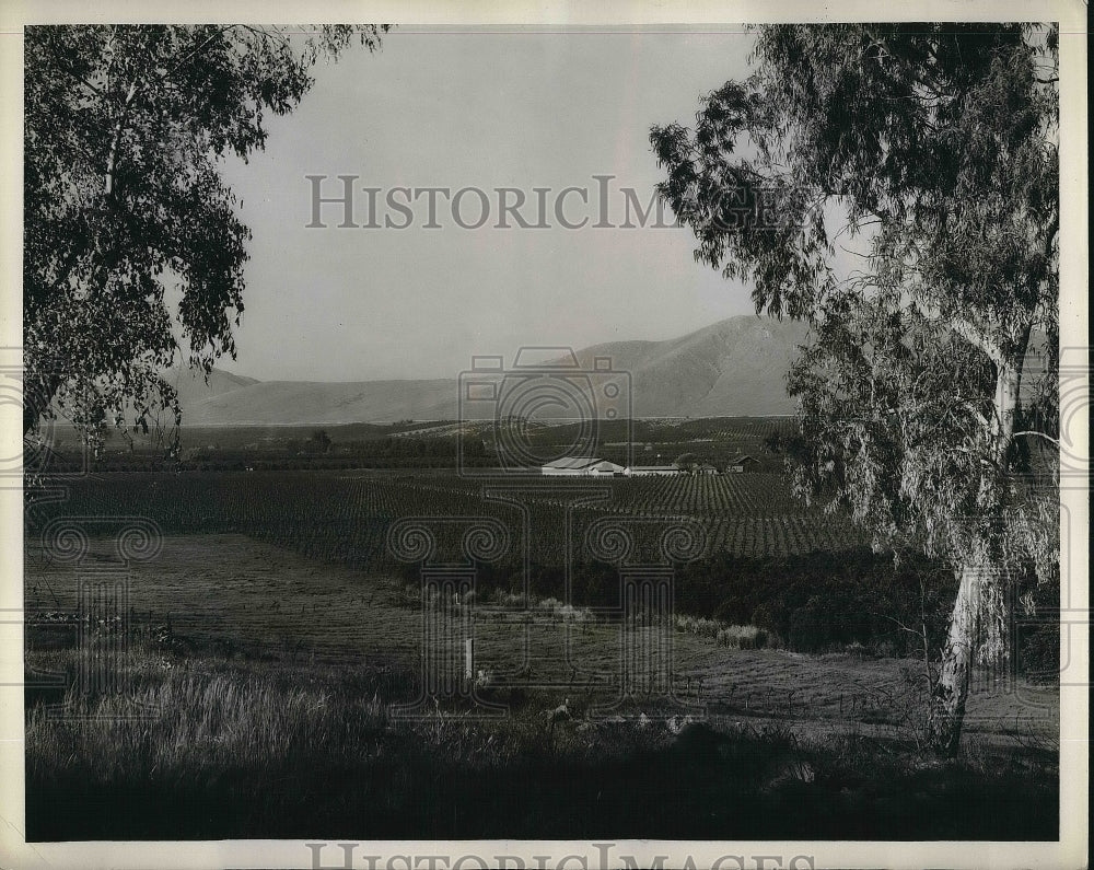 1939 The Central Valley Project in Tulare County.  - Historic Images