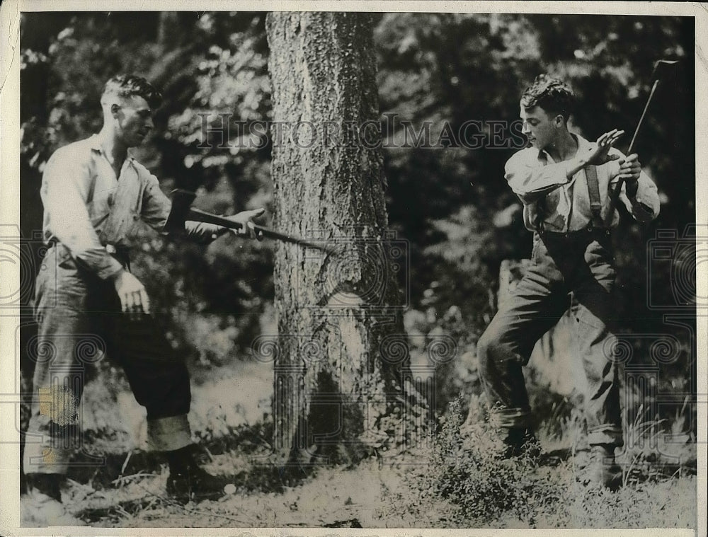 1931 Press Photo Two lumberjacks cutting down a tree - nea88072 - Historic Images