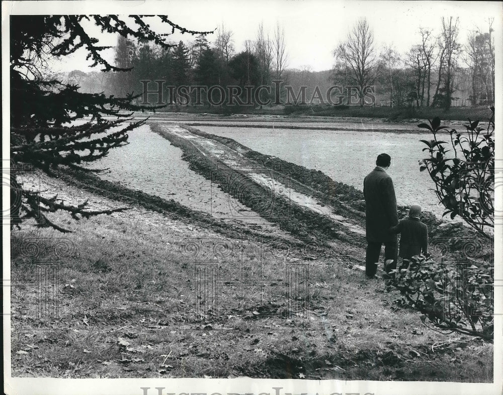 1968 Press Photo Paris, France former Bois De Boulogne now to carray a road - Historic Images