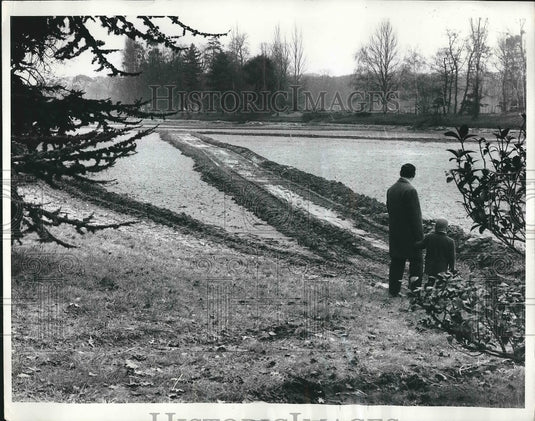 1968 Press Photo Paris, France former Bois De Boulogne now to carray a road - Historic Images