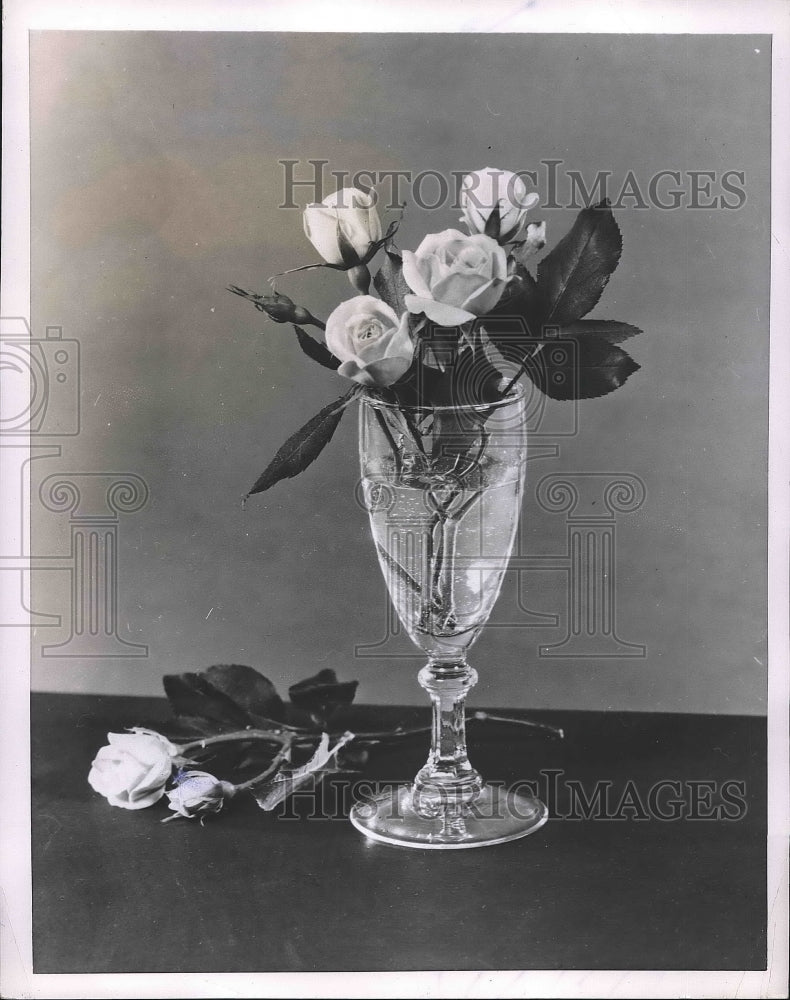 1954 Press Photo Roses in Vase - nea88743-Historic Images