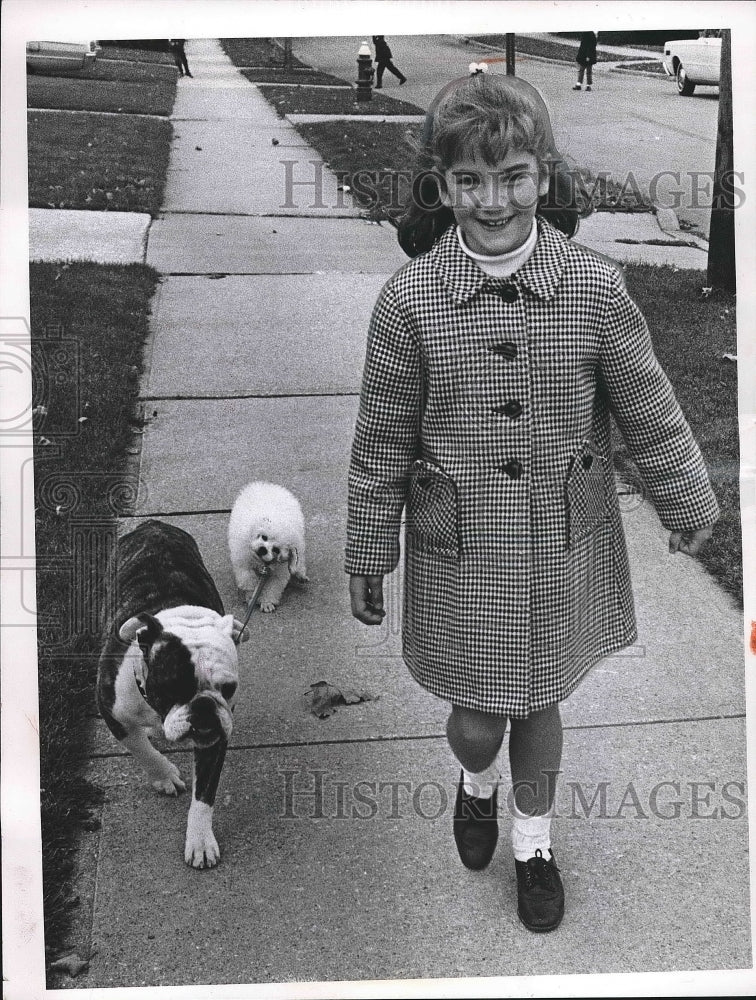 1967 Bulldog&#39;s leash attached to Spike stroll with their owner Sandy - Historic Images