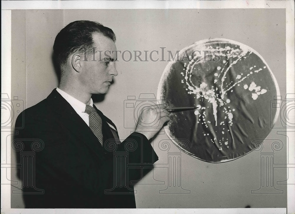 1935 Dr. Alfred Weed ^ colonies of bacteria  - Historic Images