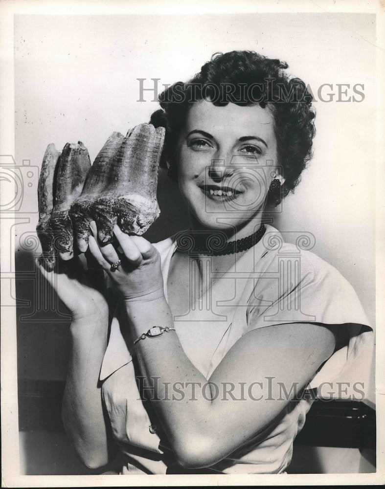 1950 Press Photo Mrs. Otis Strand displays 6.5 lb molar of prehistoric mammoth - Historic Images