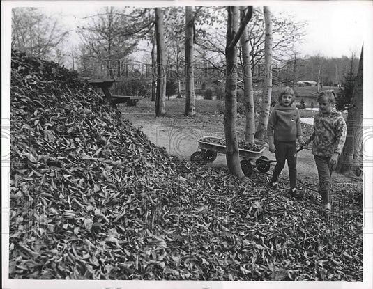 1965 Press Photo Lynne and Tommy Chead playing in the leaves - nea89709 - Historic Images