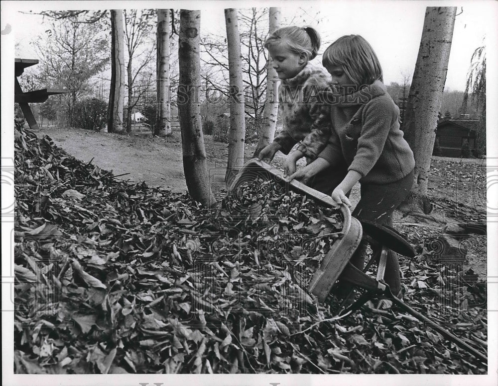 1966 Press Photo Tammy and Lynne Chead playing with leaves - nea89710 - Historic Images