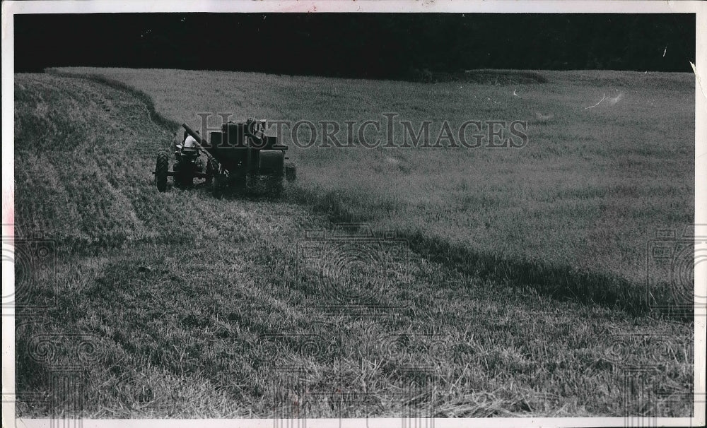 1954 Farmworker cutting down the field  - Historic Images