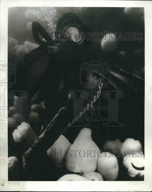 1972 Joanne Duffy and Octopus in "Octopus, Octopus" on ABC - Historic Images
