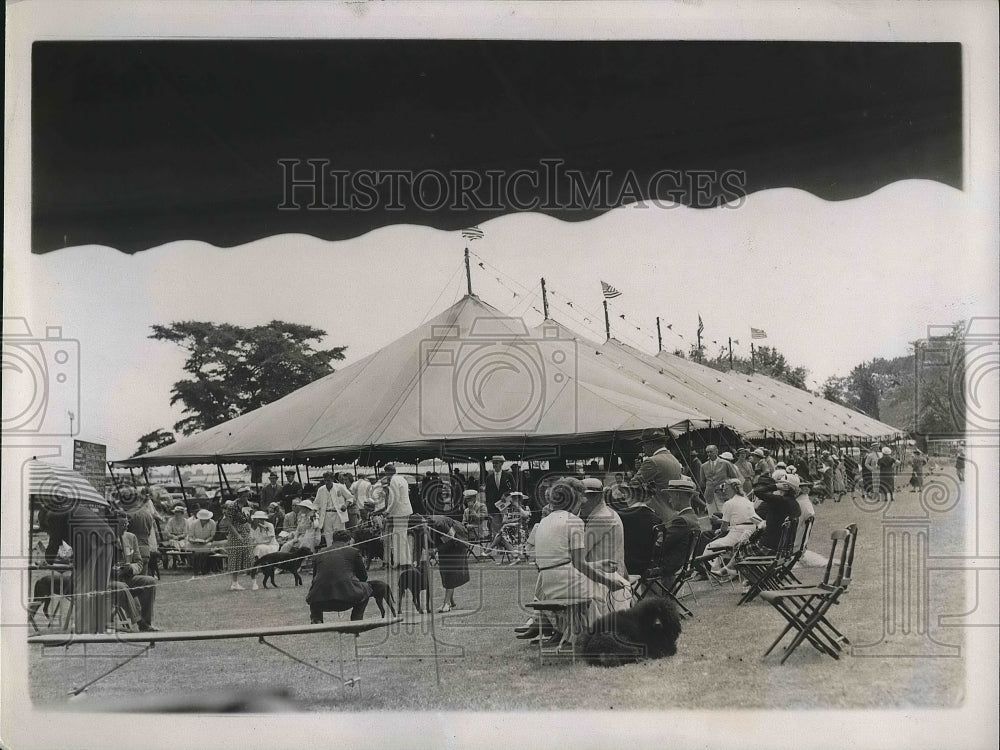1937 Judging at dogshow in Rumson, N.J.  - Historic Images