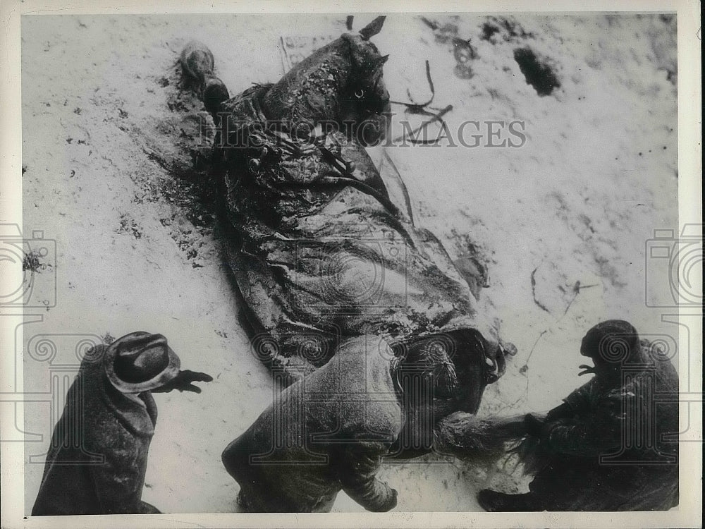 1939 Buffalo New York Great Lakes Horse Buried In Snow  - Historic Images
