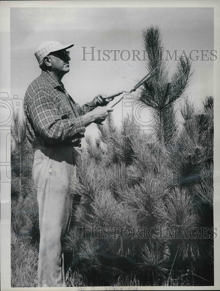 1962 Dr. William Blum, Christmas Tree Farm, Waupaca, Wisconsin - Historic Images