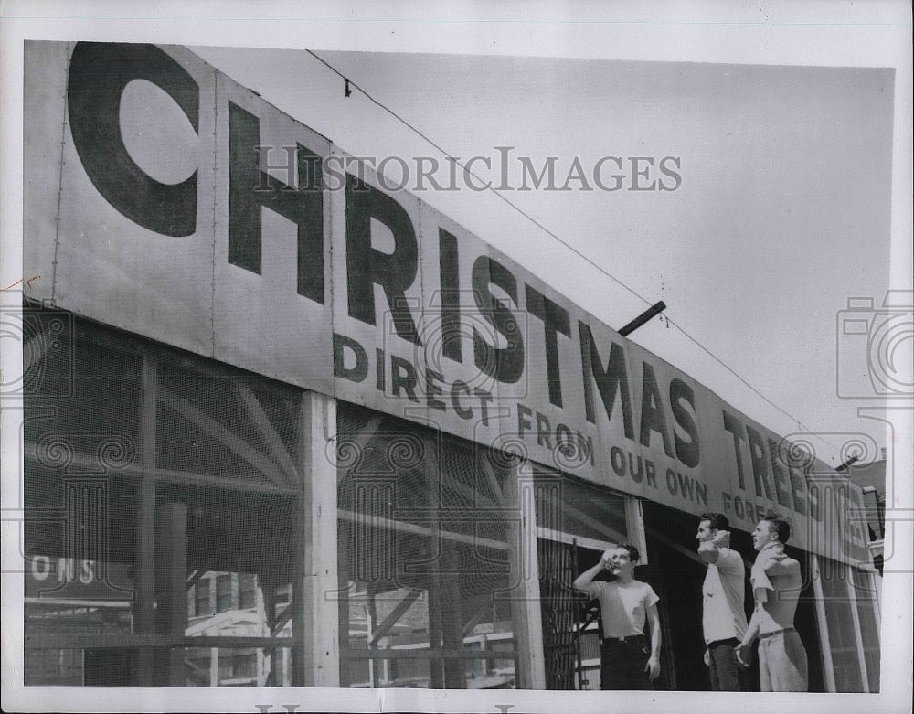 1954 Pat Boyle, Ed Hickey, David Davis, Christmas Tree Advertising - Historic Images
