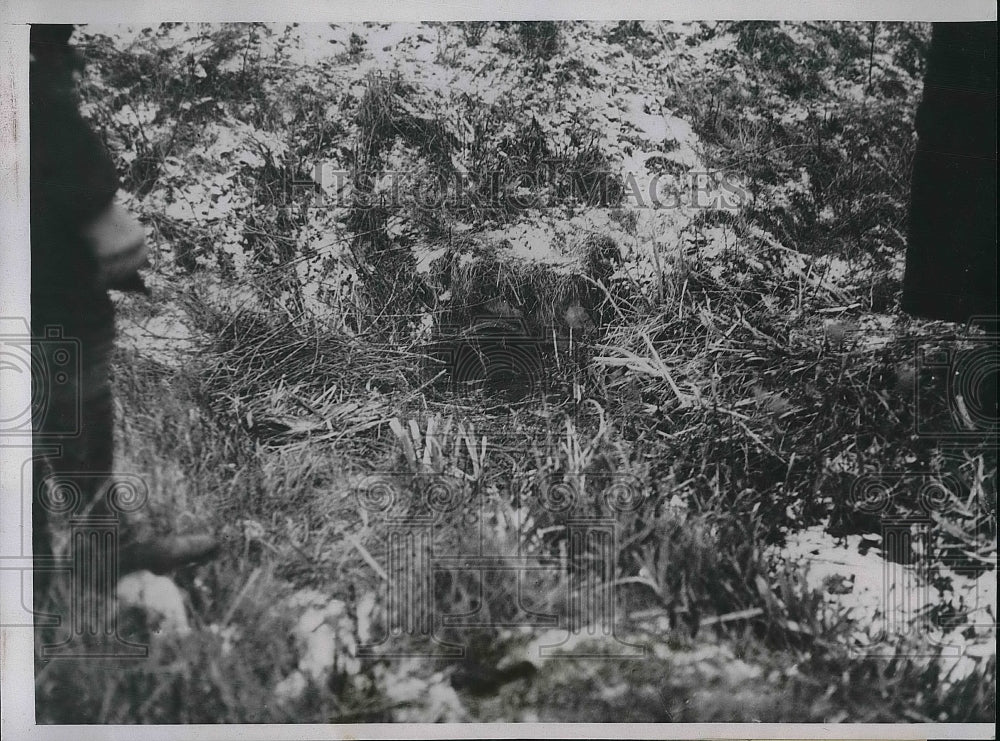 1934 Press Photo Farmer Claims Shooting of Child was Accident - Historic Images