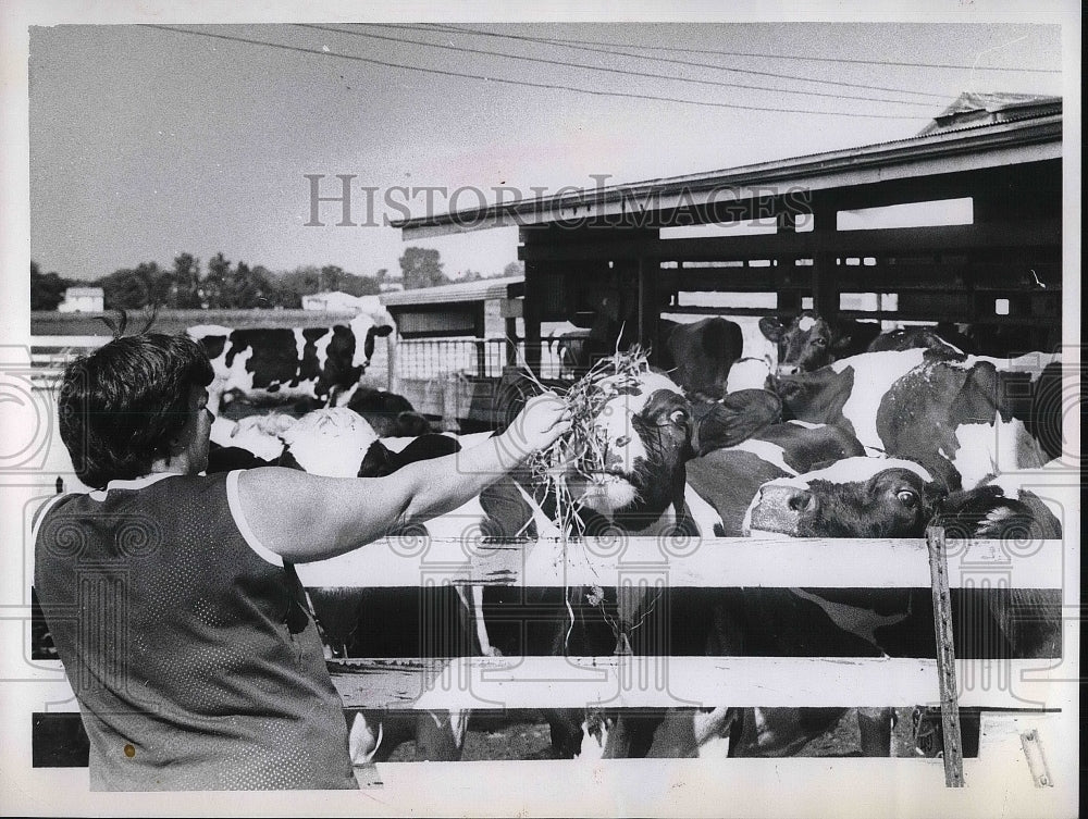 Press Photo Mrs Joseph Loyd Gail Ford Twp at Farm - nea92756 - Historic Images