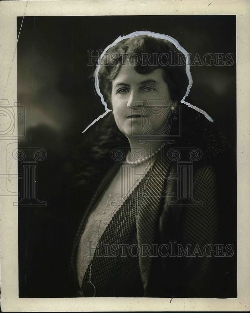 1929 Mrs William D. Mitchell  - Historic Images