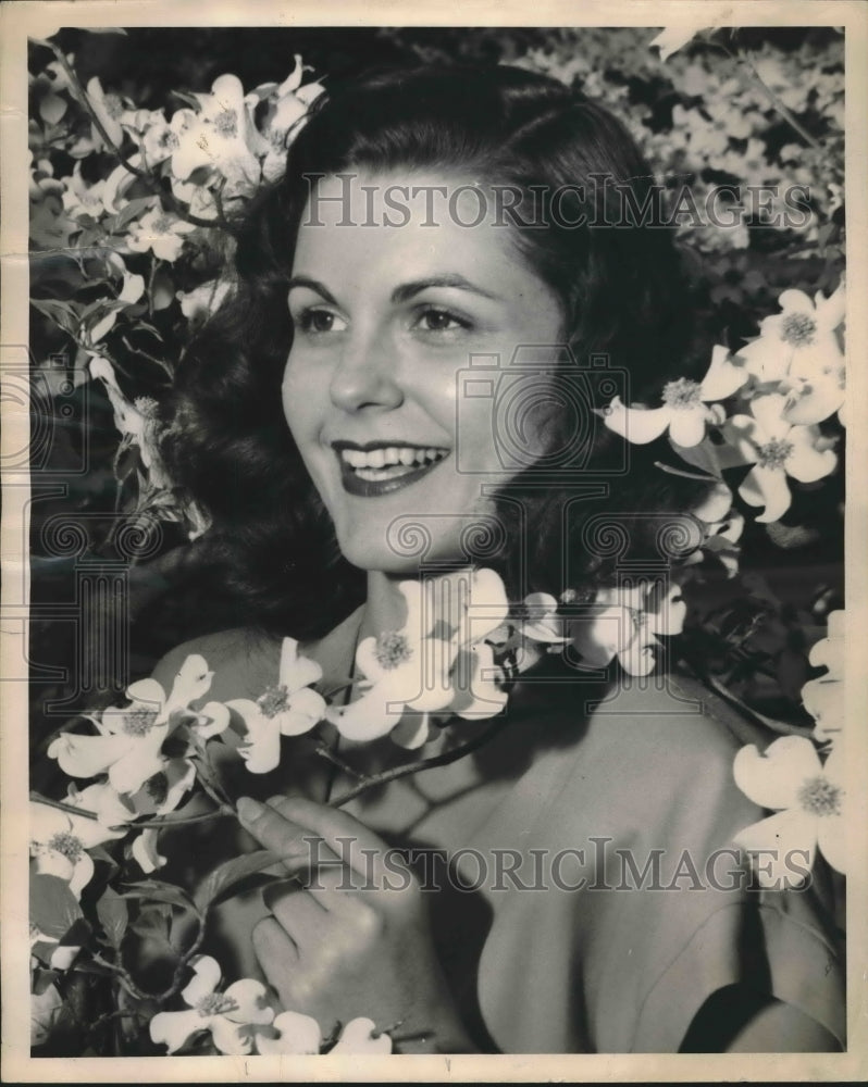 1947 Press Photo Pat Hole, University of North Carolina Dogwood Tree Blossoms - Historic Images