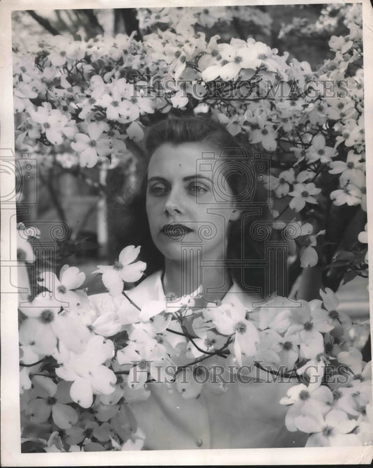 1946 Pat Harry University North Carolina Models In Dogwood Tree - Historic Images