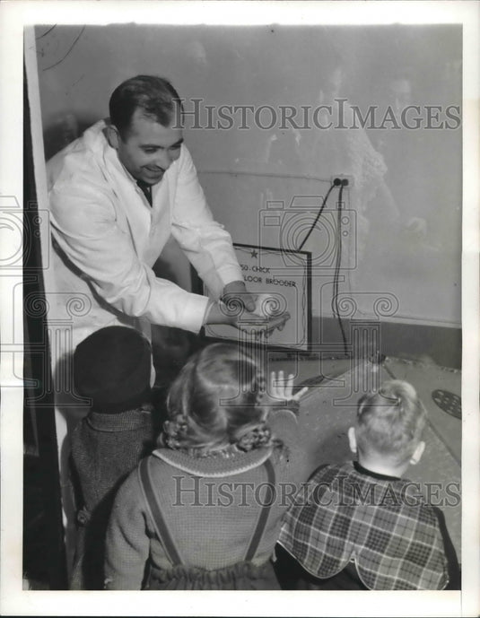 1943 R.H. Macy& Company store employee holds up a Chicks for kids. - Historic Images