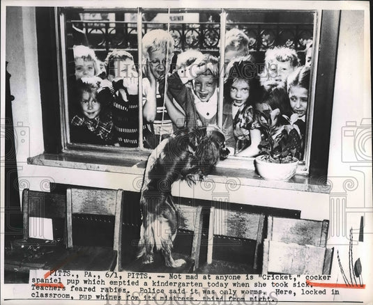1950 Cricket The Crocker Spaniel Puppy Visits Kindergarten School - Historic Images