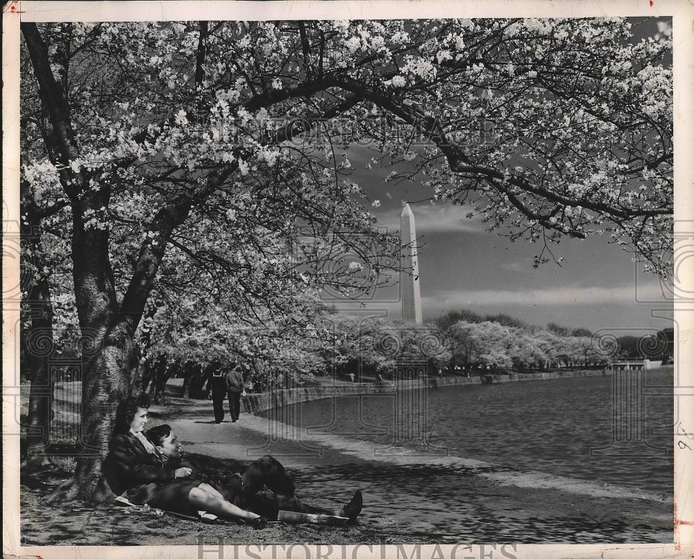 1948 Press Photo Cherry Blossoms in Bloom Washington DC Tidal Basin - nea93799 - Historic Images
