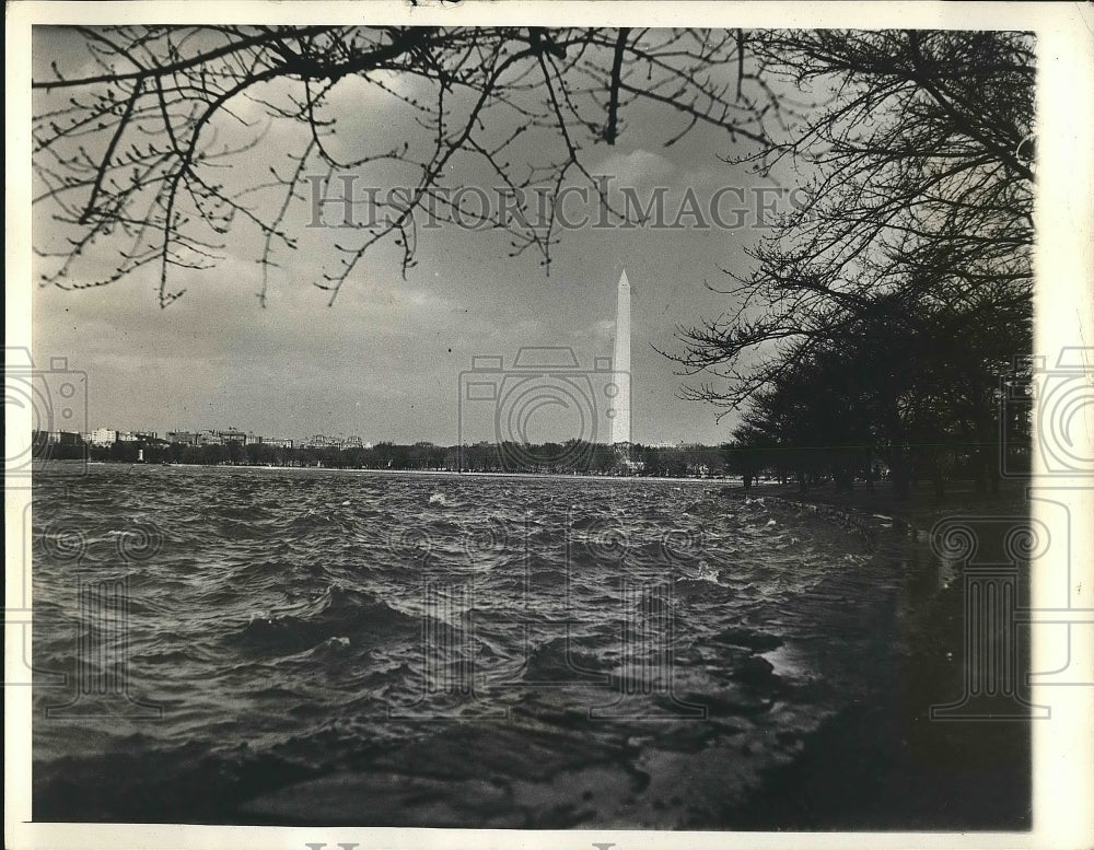 1933 Blossoming cherry trees near Washington memorial in D.C. - Historic Images