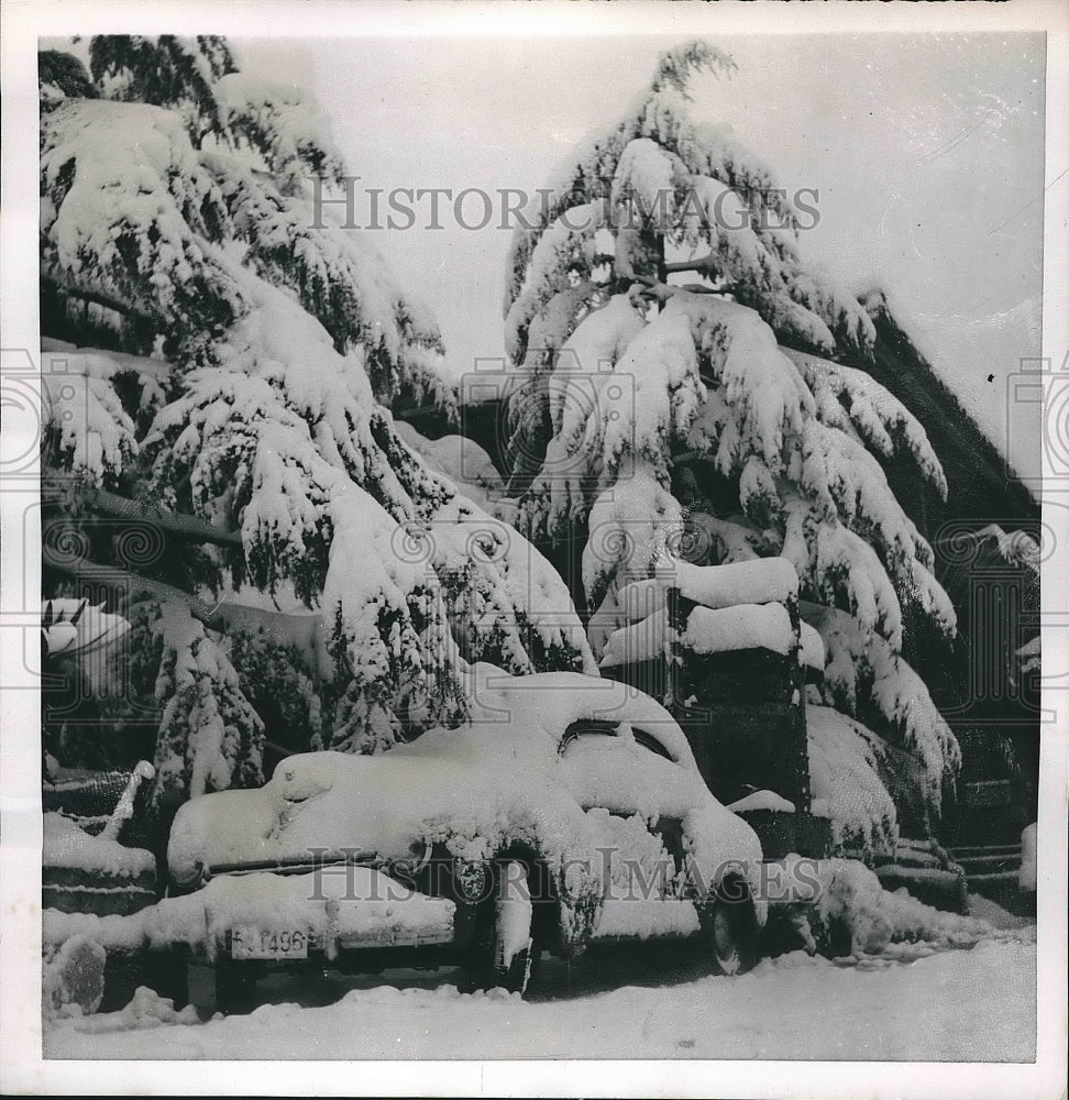 1954 Snow covered trees & auto in Toyko, Japan  - Historic Images