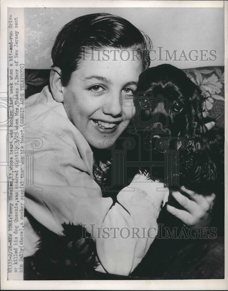 1950 Tommy Sheehan Cocker Spaniel Sally  - Historic Images