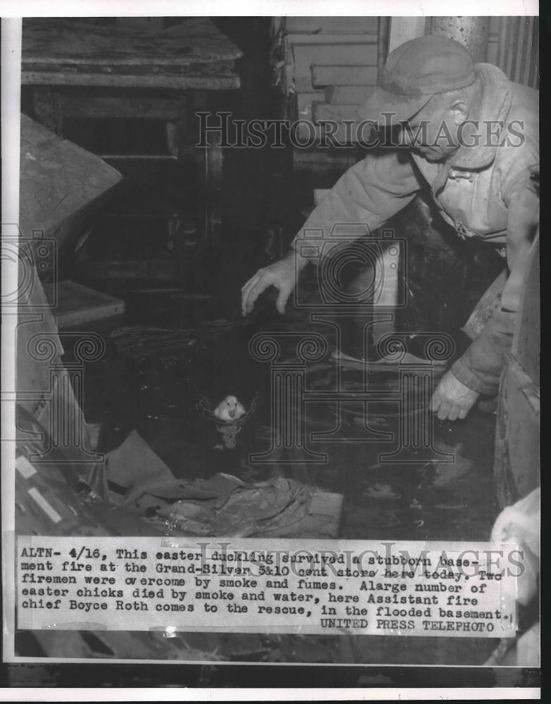 1954 Press Photo Easter Ducklking survive basement fire Chief Boyce Roth - Historic Images