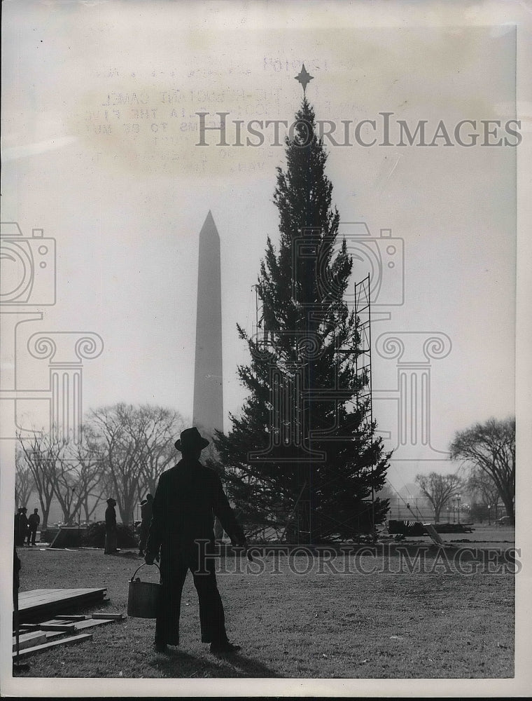 1955 Washington Monument White House Christmas Tree Holiday Symbol - Historic Images