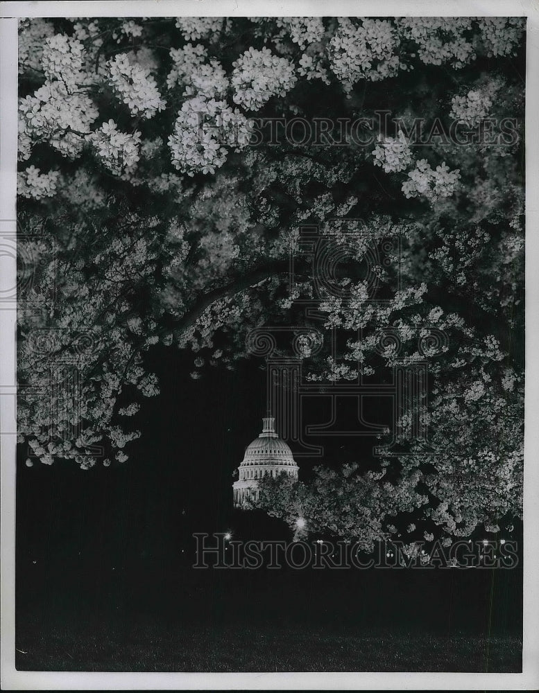 1958 Press Photo Capital Building in Washington D.C. - nea94604-Historic Images