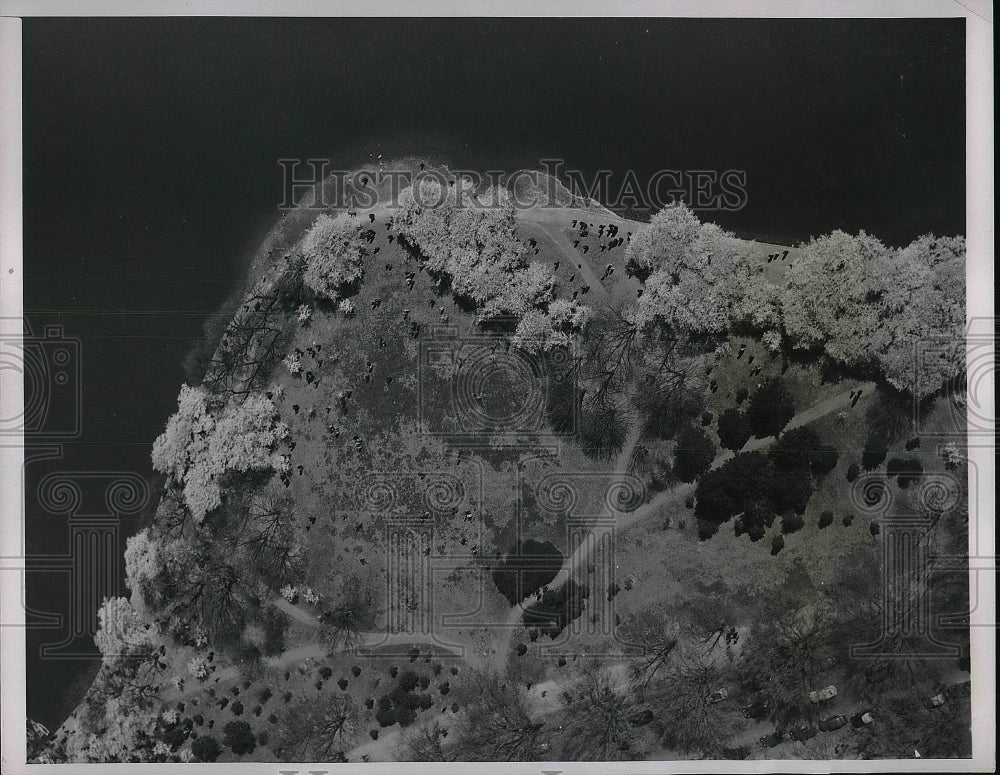 1930 Air View Of Japanese Cherry Blossoms In Washington D.C. - Historic Images
