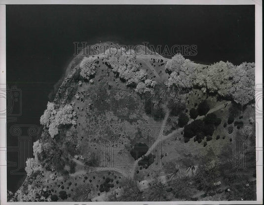 1930 Air View Of Japanese Cherry Blossoms In Washington D.C. - Historic Images