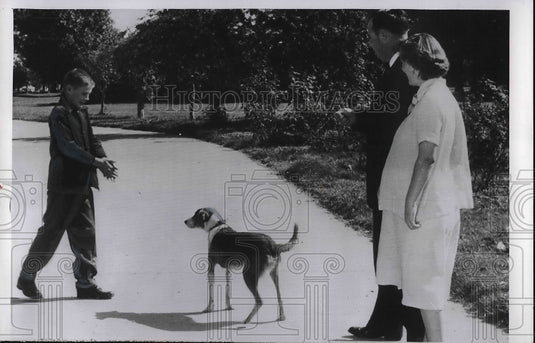 1954 Press Photo Joe Cooper Age 11 Reunited with Dog - Historic Images
