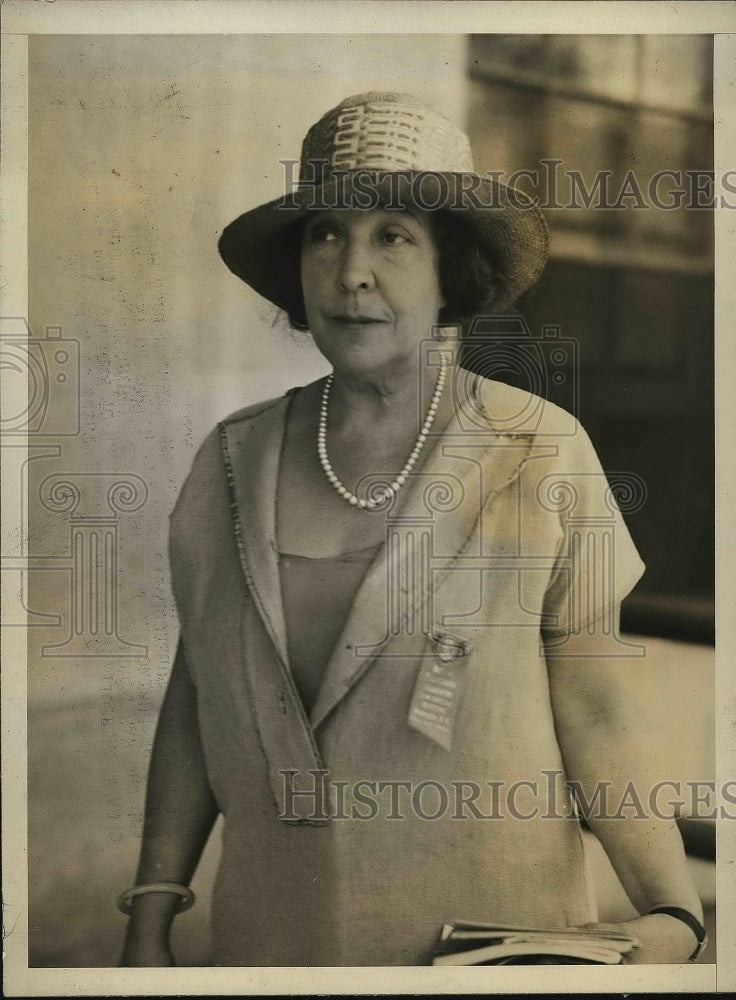 1926 Press Photo Actress Olga Nethersole in Natl. Tuberculosis Convention. - Historic Images