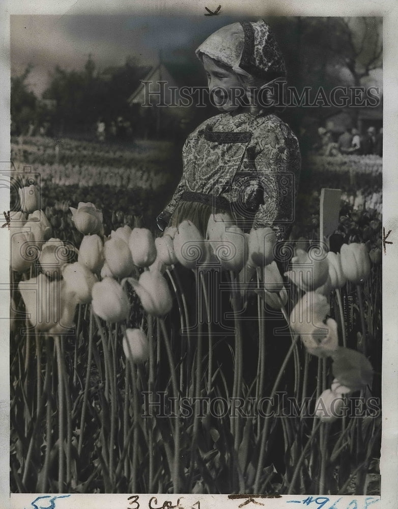 1941 Press Photo Child Dressed in Dutch Costume Among Tulips in Holland Michigan - Historic Images