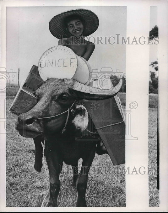 1953 Press Photo Bebalus Bublaus Buffalo - Historic Images