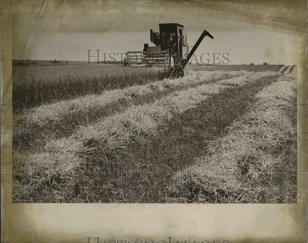 1967 Self Propelled Combine Harvesting Oats on Rowe Farm in Montfart - Historic Images