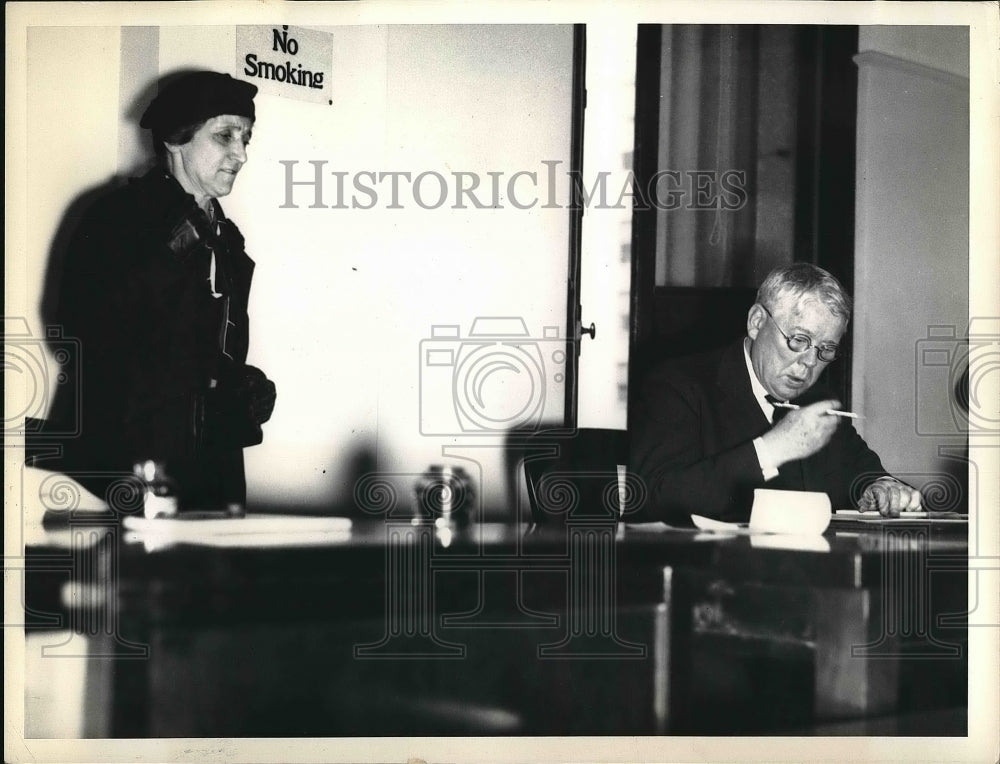 1934 Press Photo Libby Starr Testifies Against Daughter, Helen Brock Josephson-Historic Images