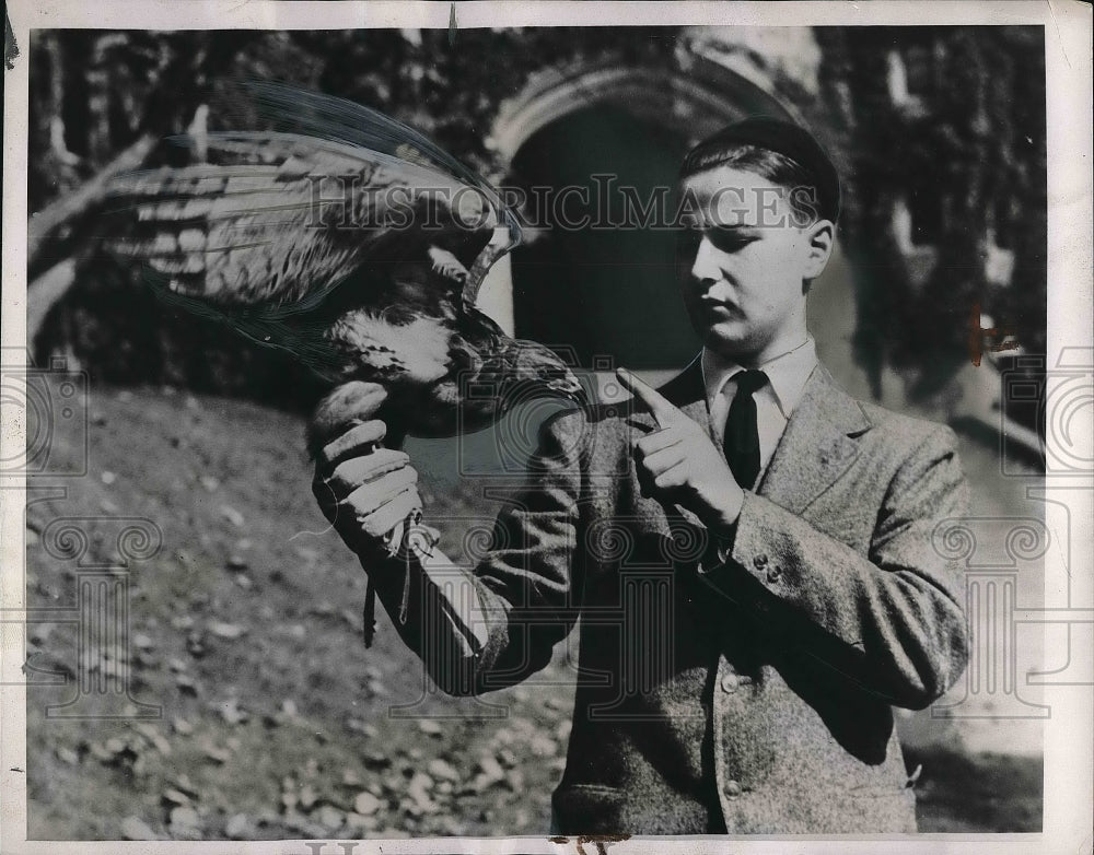 1937 Paul Miller at Princeton Univ with his pet hawk  - Historic Images