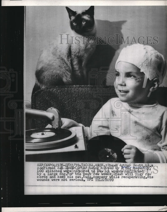 1959 Press Photo Tacoma. Wash, Shawn A Scott, 4 after bitten by a dog - Historic Images