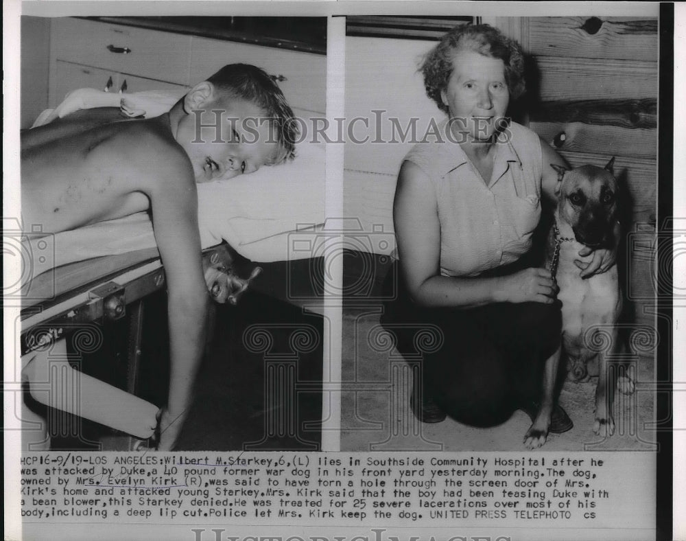 1953 Press Photo Wilbert Starkey Bit by Dog - nea97354 - Historic Images