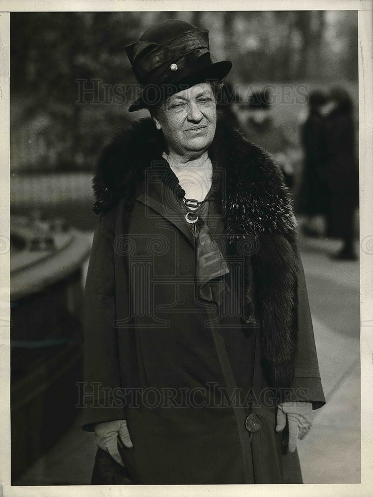 1925 Press Photo Mrs. William Bayard Van Rensselaer, Republican in Washington - Historic Images