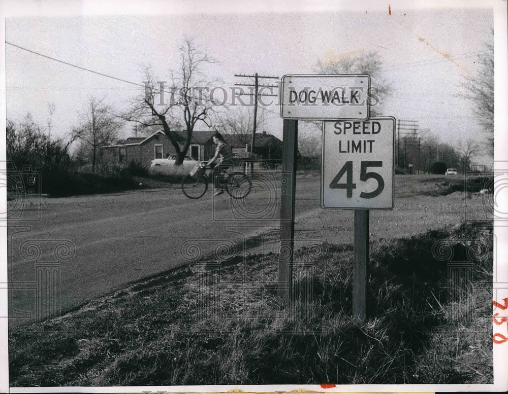 1959 Dog Walk Illinois Mining Camp Highway  - Historic Images